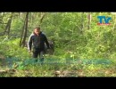 Nebezpečná tajemství Bořího lesa 2 - Břeclav - Poštorná